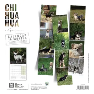 Calendario Martin Sellier Chihuahua image-2