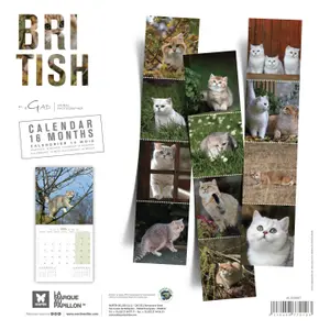 Calendar Martin Sellier British image-1