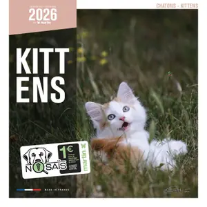 Calendar Martin Sellier Chatons image-0