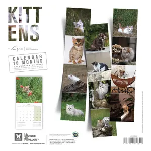 Calendar Martin Sellier Chatons image-1