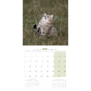 Calendar Martin Sellier Chatons image-2