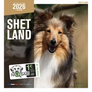 Calendar Martin Sellier Shetland image-0