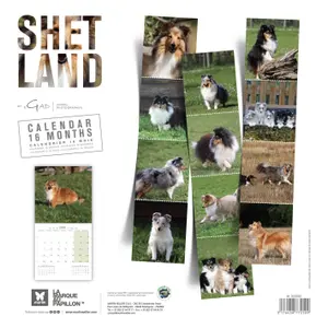 Calendar Martin Sellier Shetland image-1