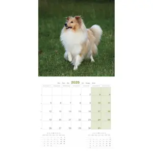 Calendar Martin Sellier Shetland image-2