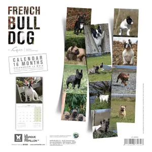 Calendar Martin Sellier Buledogue Francais image-1