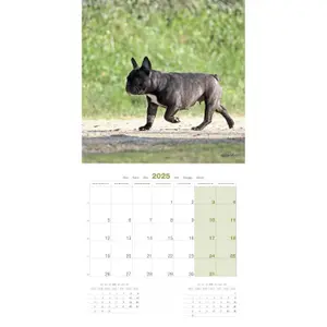Calendar Martin Sellier Buledogue Francais image-2