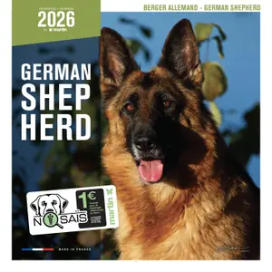 Calendar Martin Sellier Erger Allemand image-0