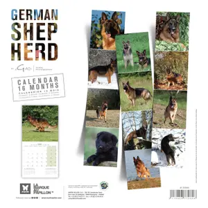 Calendar Martin Sellier Erger Allemand image-1