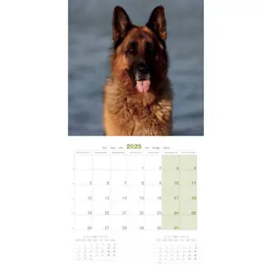 Calendar Martin Sellier Erger Allemand image-2