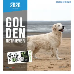 Calendar Martin Sellier Golden Retriever image-0