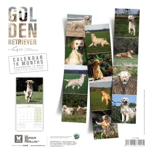 Calendar Martin Sellier Golden Retriever image-1