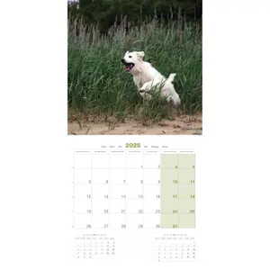 Calendar Martin Sellier Golden Retriever image-2