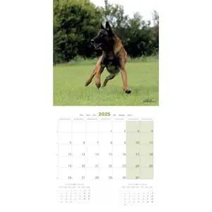 Calendar Martin Sellier Berger Belge Malinois image-2