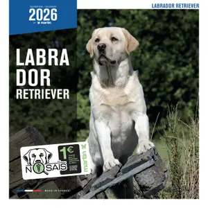 Calendar Martin Sellier Labrador image-0