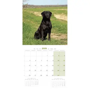 Calendar Martin Sellier Labrador image-2