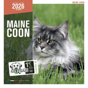 Calendário Martin Sellier Maine Coon image-0