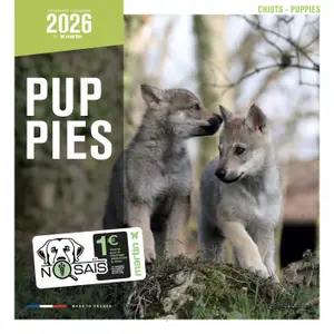 Calendário Martin Sellier Chiots image-0