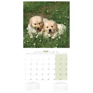 Calendário Martin Sellier Chiots image-2