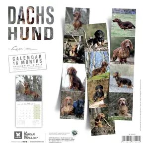 Calendar Martin Sellier Teckel image-1