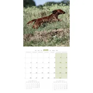 Calendar Martin Sellier Teckel image-2