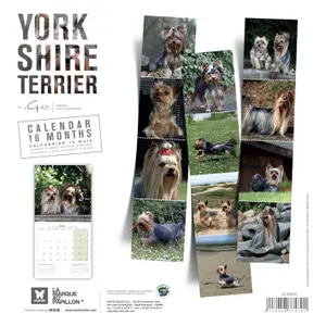 Calendário Martin Sellier Yorkshire image-1