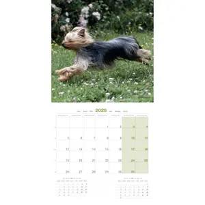 Calendário Martin Sellier Yorkshire image-2