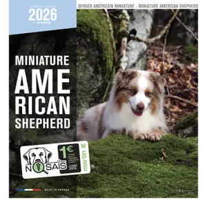 Calendar Martin Sellier Berger Americain image-0