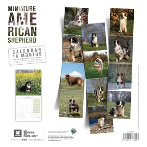 Calendar Martin Sellier Berger Americain image-1