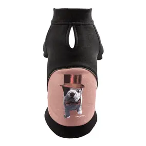 Dog Sweatshirt Martin Sellier Teo Dandy image-0