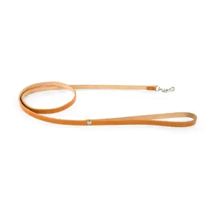 Dog leash Martin Sellier FRC image-0