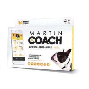 Arnés para perros Martin Sellier Coach