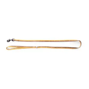 Bicolour Nylon Dog Lead Martin Sellier Bulles image-0