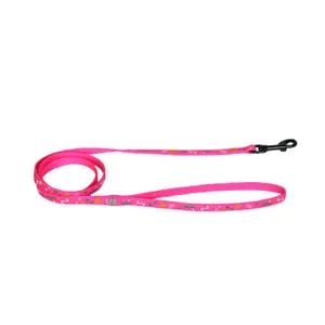 Nylon cat leash Martin Sellier Carnaval image-0