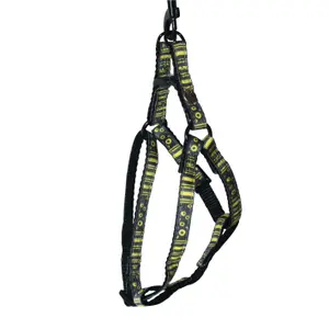Cat Harness Baudrier Martin Sellier Bulle image-0