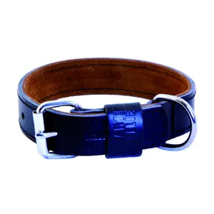 Dog collar Martin Sellier image-0
