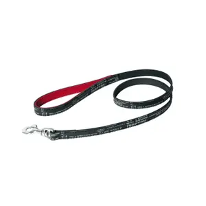 Dog leash Martin Sellier Boston image-0