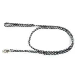 Nylon dog leash Martin Sellier image-0