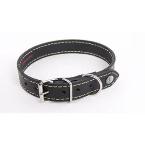 Dog collar Martin Sellier Flash image-0