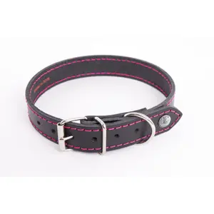 Dog collar Martin Sellier Flash image-0