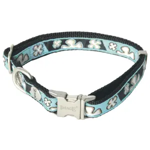 Dog collar Martin Sellier Bowxy image-0