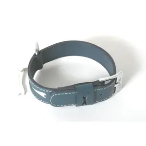 Collar para perro de cuero recto Martin Sellier image-0