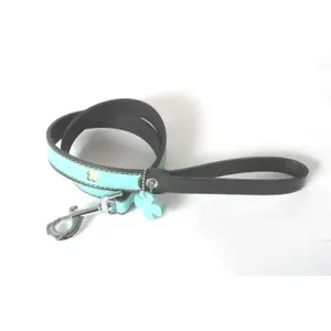 Leather dog leash Martin Sellier Bowxy image-0