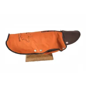 Dog coat Martin Sellier Happy Winter Image image-0