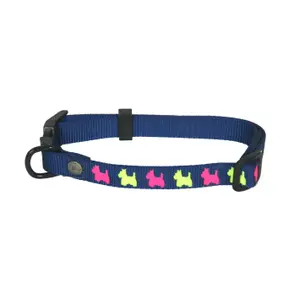 Dog collar Martin Sellier image-0