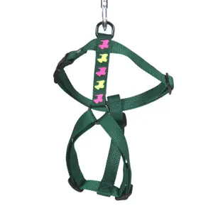 Cat harness Martin Sellier Chien image-0