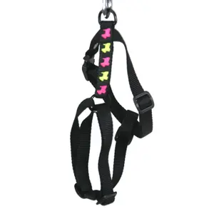 Cat harness Martin Sellier Chien image-0