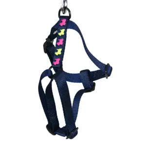 Cat harness Martin Sellier Chien image-0