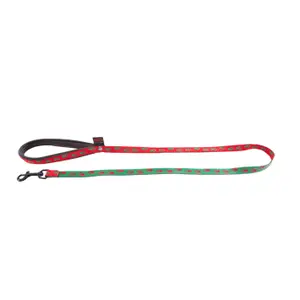 Nylon dog leash Martin Sellier Patte image-0