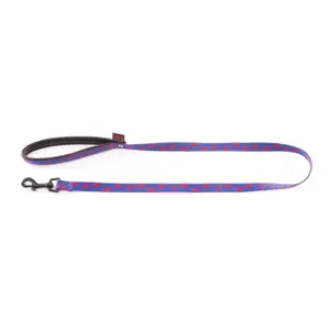 Nylon dog leash Martin Sellier Patte image-0