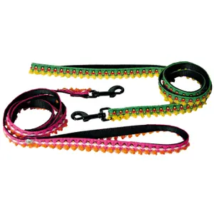 Nylon dog leash Martin Sellier Dancing Queen image-0